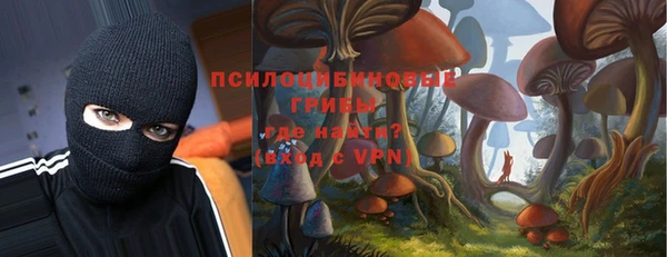 дживик Бердск