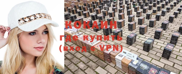 ешки Артём