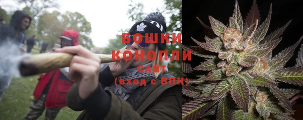 дживик Бердск