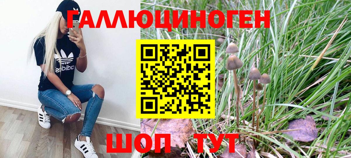 Псилоцибиновые грибы Cubensis Донецк