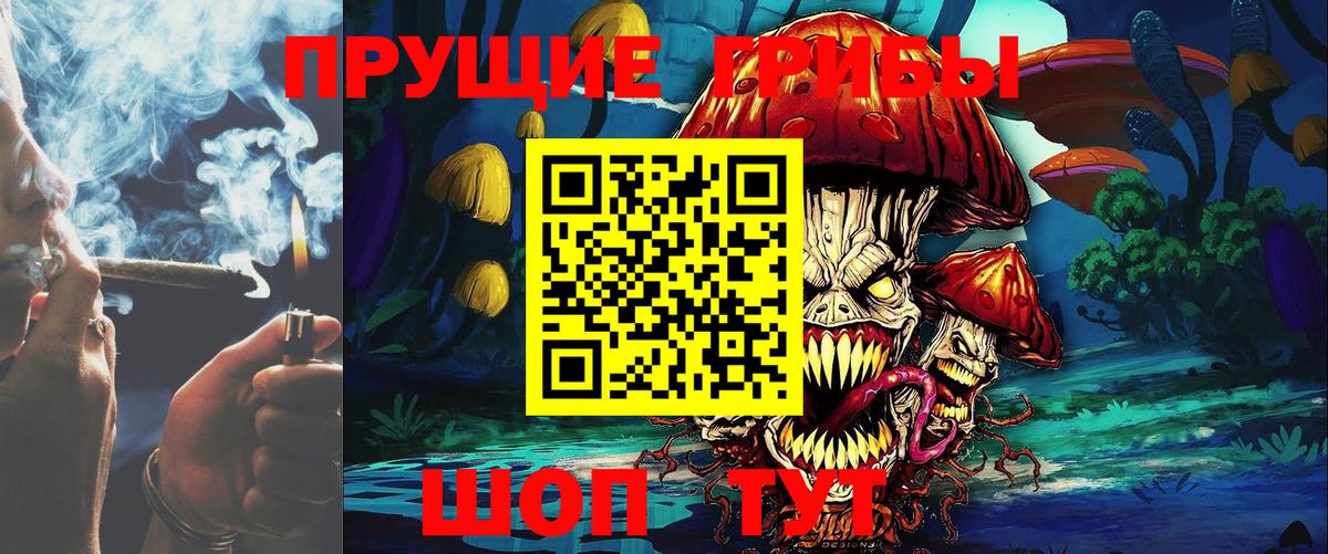 Галлюциногенные грибы Cubensis  Донецк  Псилоцибиновые грибы мухоморы 