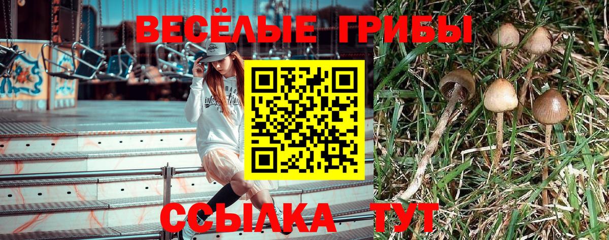 Донецк  Псилоцибиновые грибы мухоморы  Вход с VPN 
